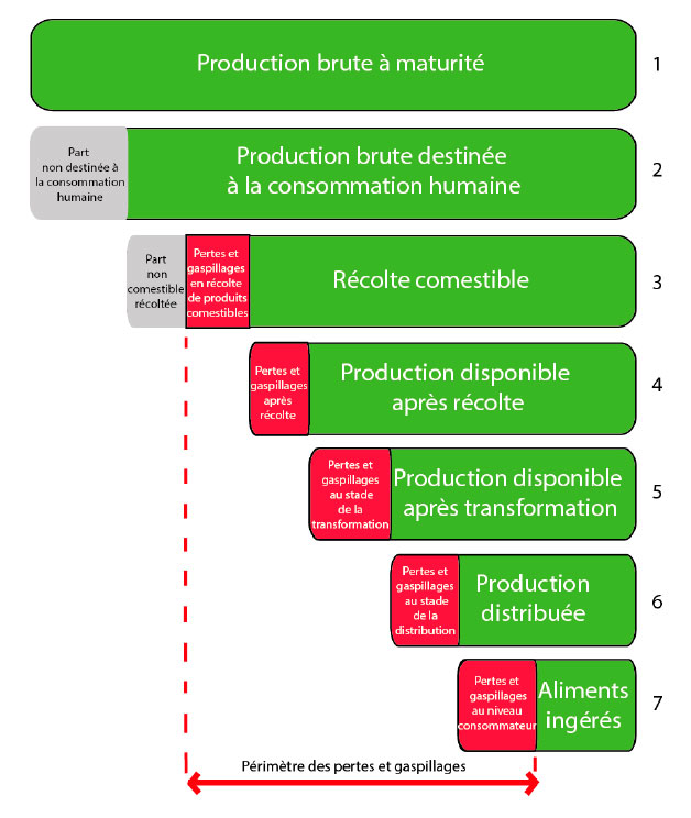 gaspillage alimnetaire ademe