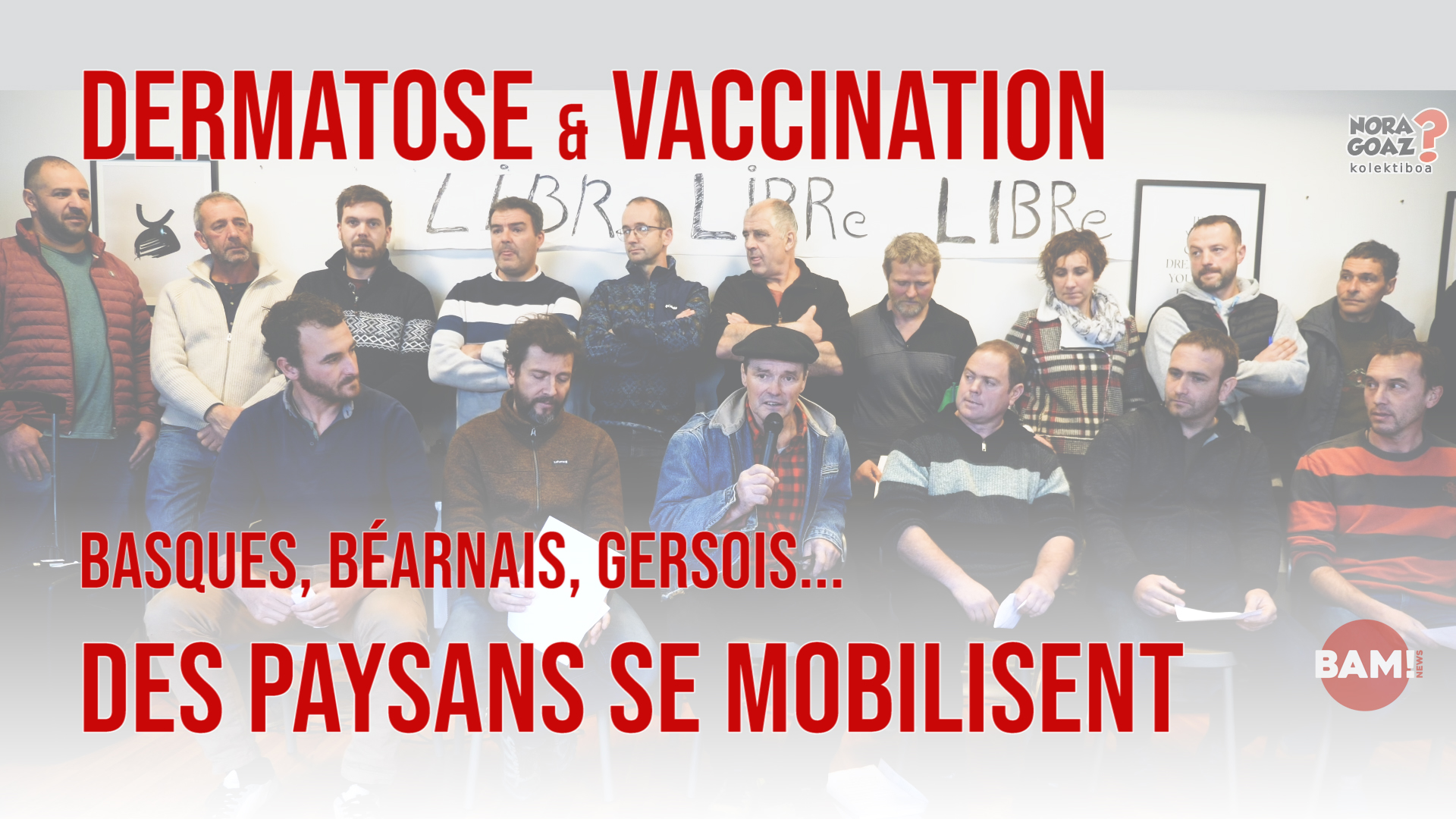 Dermatose & Vaccination: Basques, Béarnais, Gersois… des pays se mobilisent