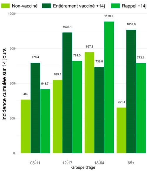 sciensano incidence age