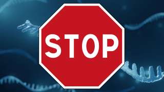 Plus de 2000 scientifiques réclament un moratoire sur les vaccins à ARNm