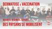 Dermatose & Vaccination: Basques, Béarnais, Gersois… des pays se mobilisent